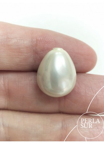 Perilla shell 1/2t 13x16mm