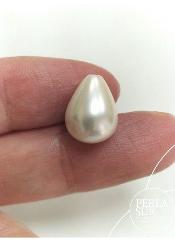 Perilla shell 1/2t 10x13mm