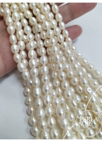 Hilo Perla Oval 5x7mm blanca 40cm