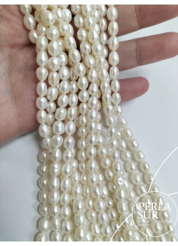 Hilo Perla Oval 5x7mm blanca 40cm