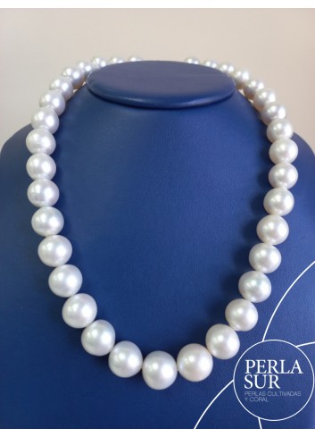 Collar perla australiana R 13 a 15mm 35p 48cm