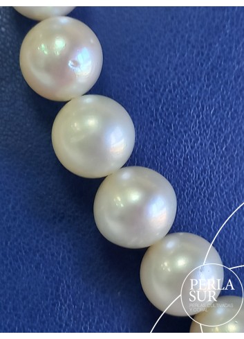 Necklace 10 to 111mm Round Australian Pearls