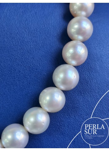Collar perla australiana R 10'5 a 12mm 35p 40cm