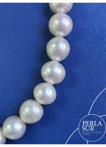Collar perla australiana SR 10 a 11mm 40p 41'5cm