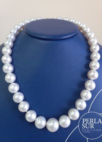 Collar perla australiana R 12 a 15'6mm 35p 45cm
