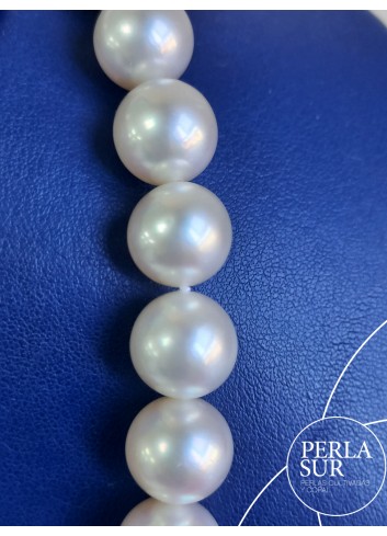 Collar perla australiana R 12 a 15'6mm 35p 45cm