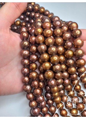 Potato 11-12 mm Chocolate