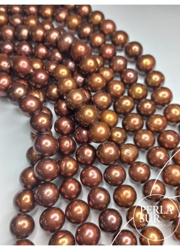 Potato 11-12 mm Chocolate