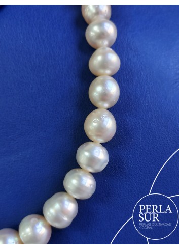 Collar perla australiana B 9 a 11'4mm 40p 40'5cm