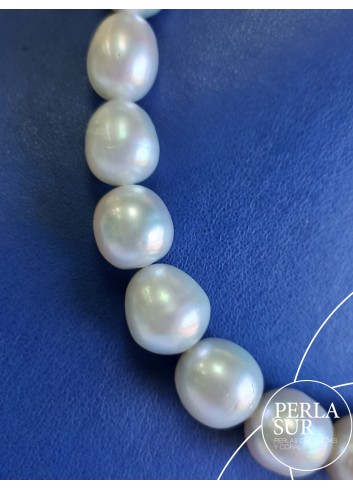 Necklace 10x14mm Semiround Australian Pearls