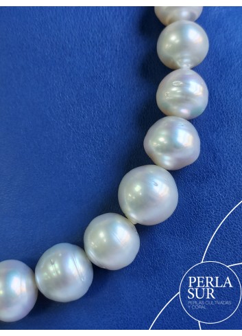 Australiana 10'5x15'4mm Barroca