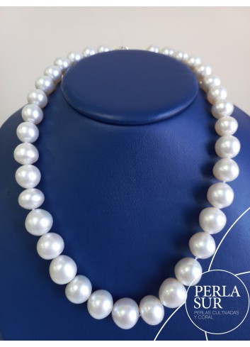 Australiana SR 11 a 15'3mm 35p 43'5cm