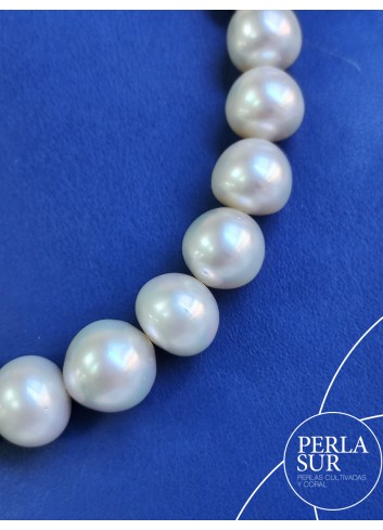 Collar perla australiana SR 11'1 a 14'9mm 37p 43'5cm