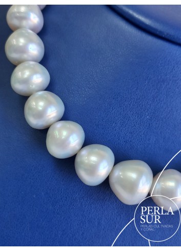 Australiana 11'7x16'6mm Barroca Perilla