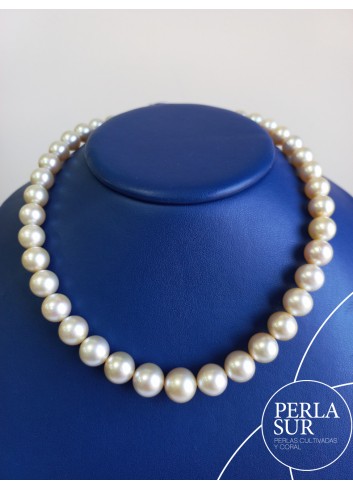 Necklace 9x12mm Round Golden Pearls