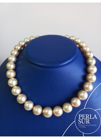 Collar Golden 12x14mm Redondo