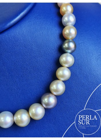 Collar perla A+T+G 9 a 12'5mm Tricolor 43p 42cm