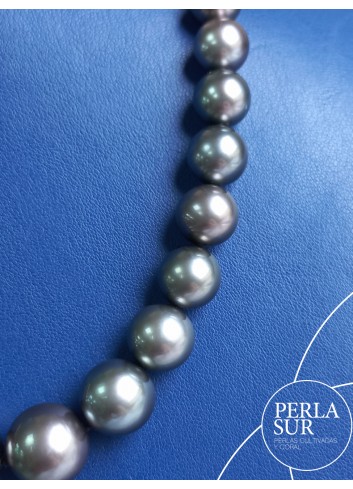 Collar Tahití Redondo 8'7x14'5mm