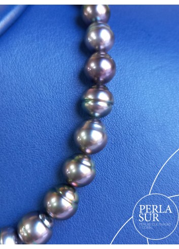 Collar Tahití 8x10'7mm Circulo Berenjena