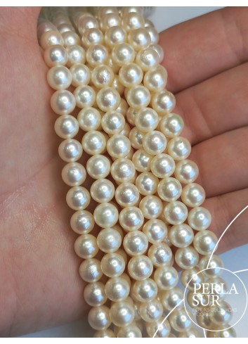 Necklace 7,5-8 mm Round Akoya Pearls