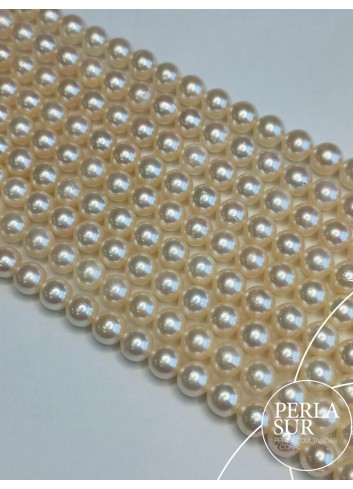 Necklace 7-7´5 mm Round Akoya Pearls