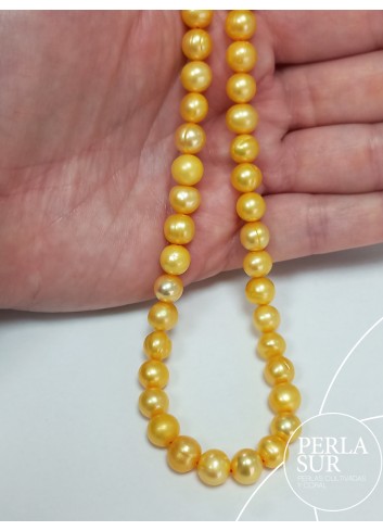 Strand 7-7'5mm Semibaroque Gold