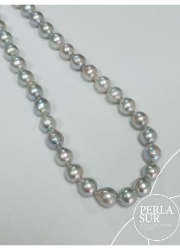 Hilo 7-7'5mm Semibarroco Perlas Cultivadas Akoya Gris