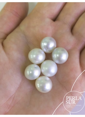 Perla Australiana 12-12'5mm Botón