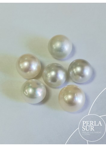 Perla Australiana 12-12'5mm Botón