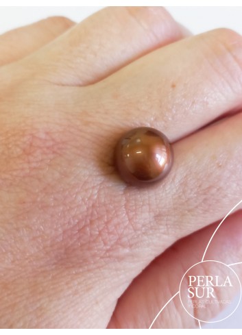 Perla Aus. 12'35mm Redonda Chocolate