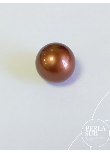 Perla Aus. 12'35mm Redonda Chocolate