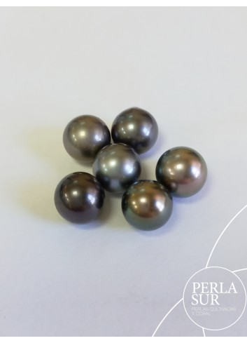 Perla 9'5-10mm Redonda Tahití