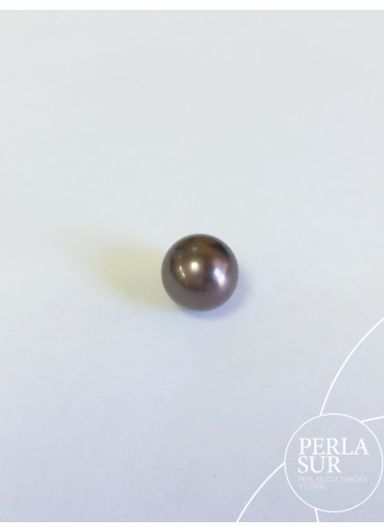 Perla 10'5mm Redonda Tahití