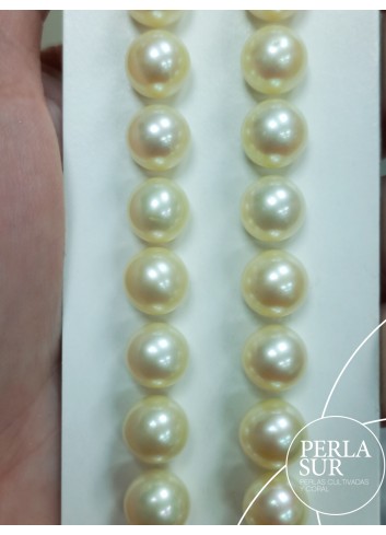 Par perla 1/2t 8-8'5mm golden