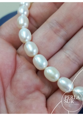 Hilo Perla Oval 7x9mm blanca 40cm