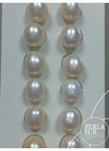 Par Oval 8x9'5mm 1/2T. Blanca