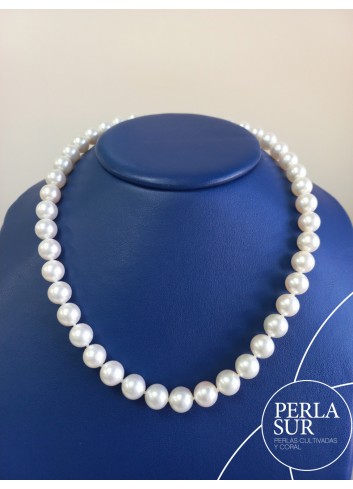 Collar Redondo 9'5-10mm Perlas Akoya