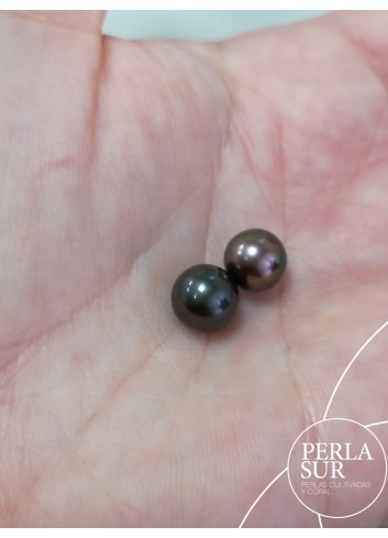 Perla 8-8'5mm Semiredonda Tahití