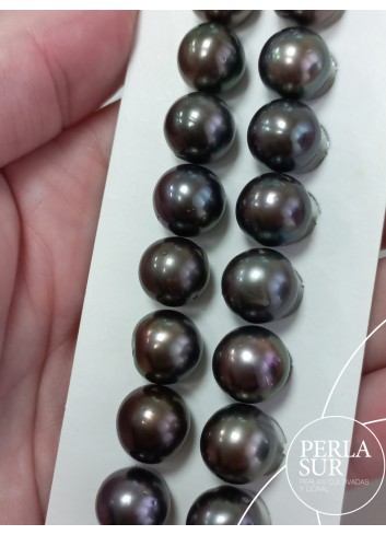 Par Perla Tahití 10'5-11mm semired