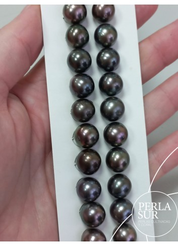 Par Perla Tahití 10'5-11mm semired