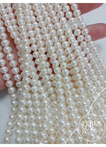 Hilo perla 5-5'5mm semiredonda