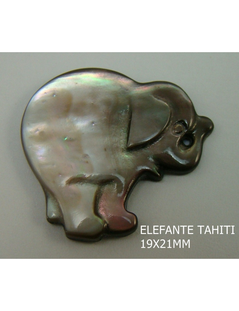 Elefante Tahití 19x21mm