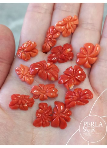 Flores de Hibisco Coral Japonés