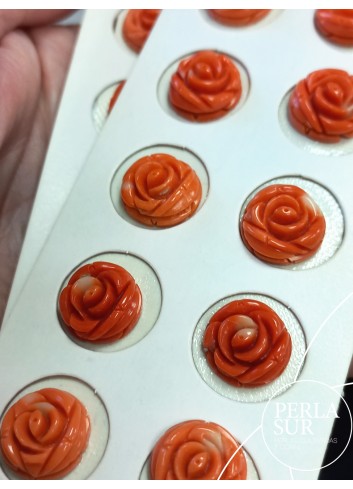 Rosa 15-16-17mm Plana Redonda Coral Japonés