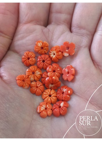 Flor 5 pétalos 7 a 8'5mm Coral Japonés