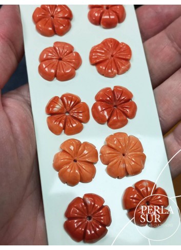 Flor 5 pétalos 16 a 18mm  Coral Japonés