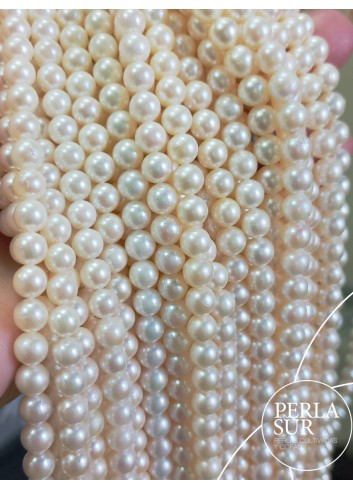 0156125 - AKOYA Strand 5'5-6mm round "B"