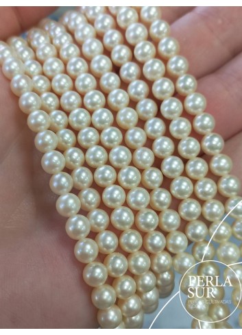0156325 - AKOYA Strand 5'5-6mm round golden pearls