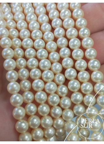 0156325 - AKOYA Strand 5'5-6mm round golden pearls