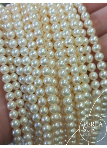 0156225 - AKOYA Strand 5'5-6mm round "B" pearls